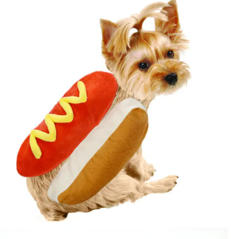 Hot Dog Burger Pet Clothes for Cats and Dogs