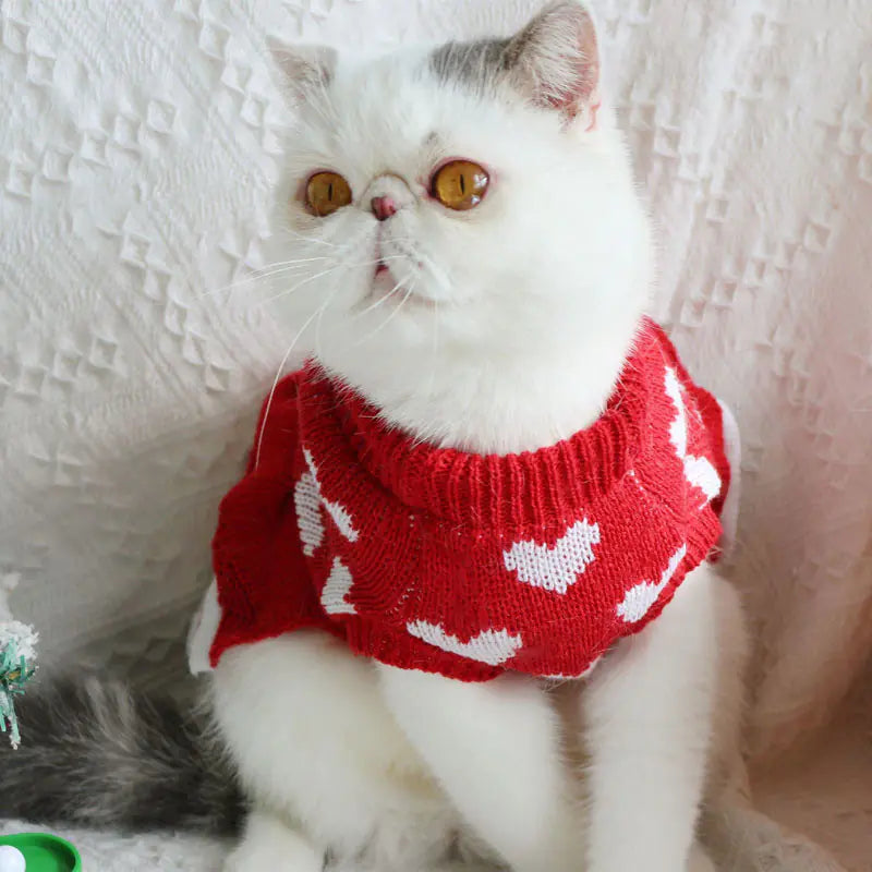 Pull de Noël pour Chiens & Chats – Motif Festif