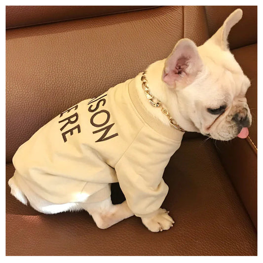 Sweat Brodé pour Amoureux des Chiens – Style Décontracté