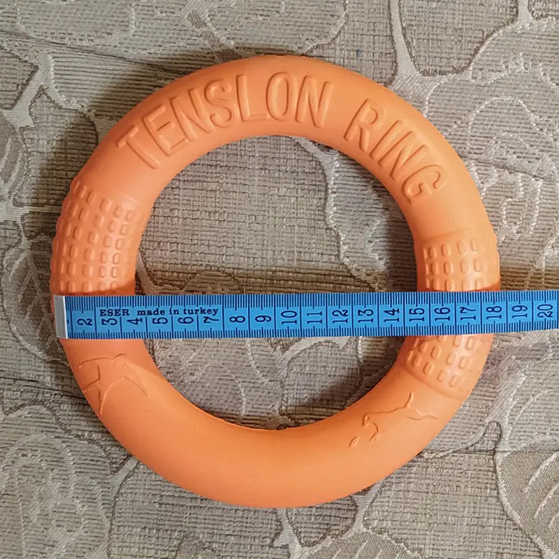 Anneau d’Entraînement Interactif pour Chiens